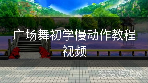 广场舞初学慢动作教程视频