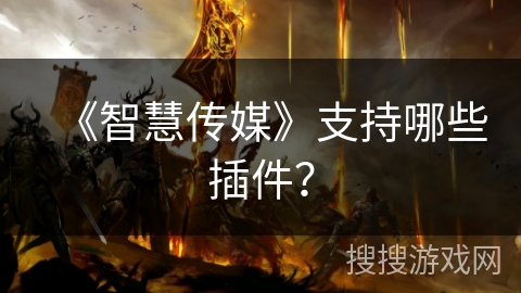 《智慧传媒》支持哪些插件？