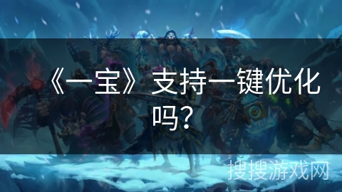 《一宝》支持一键优化吗？
