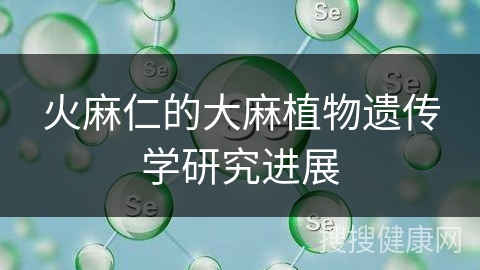 火麻仁的大麻植物遗传学研究进展