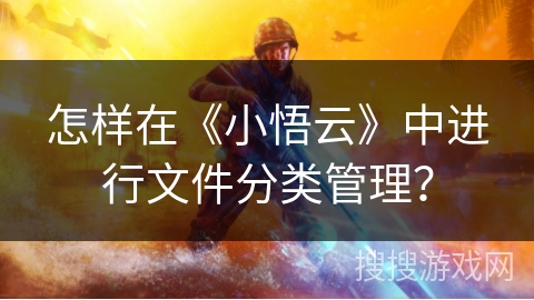 怎样在《小悟云》中进行文件分类管理？