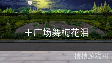 王广场舞梅花泪