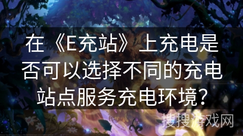 在《E充站》上充电是否可以选择不同的充电站点服务充电环境？