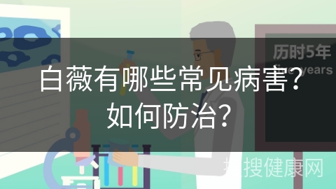 白薇有哪些常见病害？如何防治？