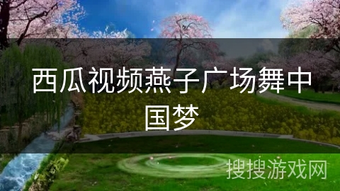 西瓜视频燕子广场舞中国梦