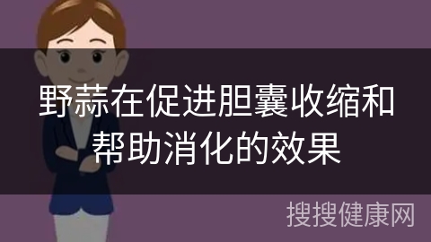 野蒜在促进胆囊收缩和帮助消化的效果