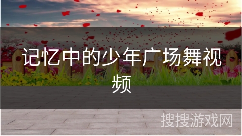 记忆中的少年广场舞视频