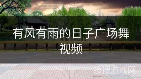 有风有雨的日子广场舞视频