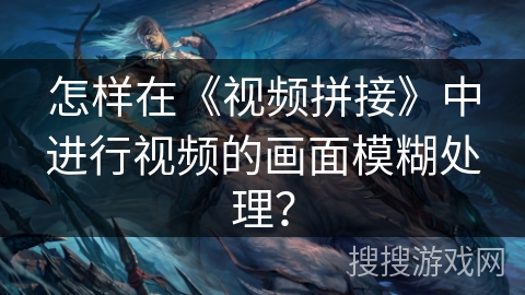 怎样在《视频拼接》中进行视频的画面模糊处理？