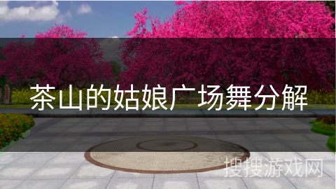 茶山的姑娘广场舞分解