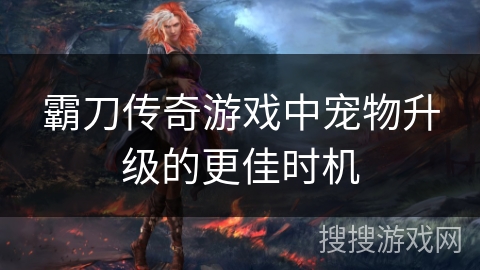 霸刀传奇游戏中宠物升级的更佳时机