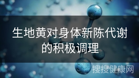 生地黄对身体新陈代谢的积极调理