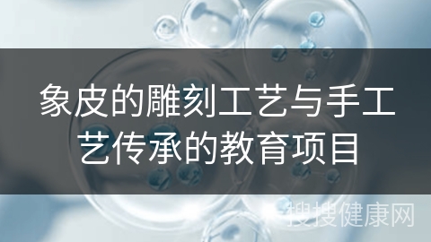 象皮的雕刻工艺与手工艺传承的教育项目