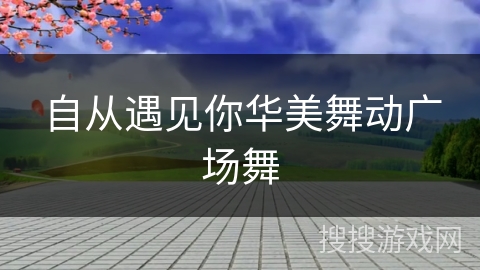 自从遇见你华美舞动广场舞