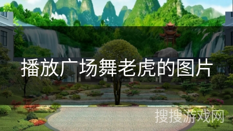 播放广场舞老虎的图片