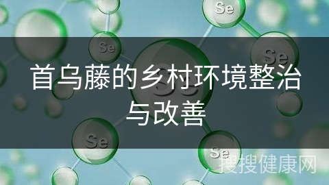 首乌藤的乡村环境整治与改善