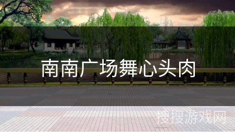 南南广场舞心头肉 南南广场舞心头肉
