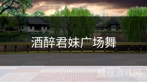 酒醉君妹广场舞