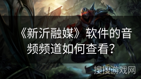 《新沂融媒》软件的音频频道如何查看? 《新沂融媒》软件的音频频道如何查看?