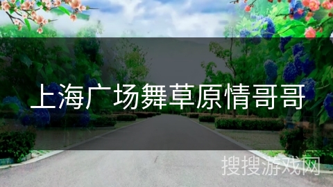 上海广场舞草原情哥哥