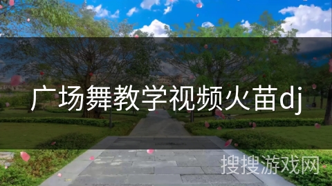 广场舞教学视频火苗dj