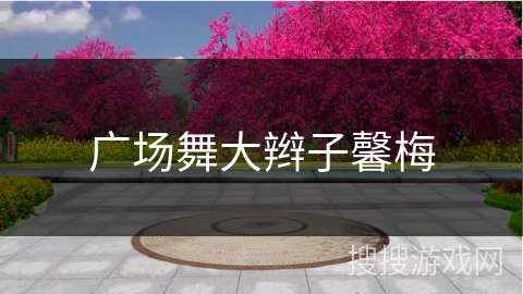 广场舞大辫子馨梅