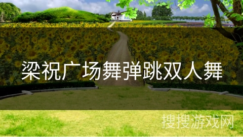 梁祝广场舞弹跳双人舞 梁祝广场舞弹跳双人舞