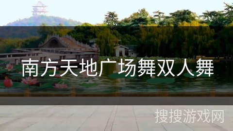南方天地广场舞双人舞