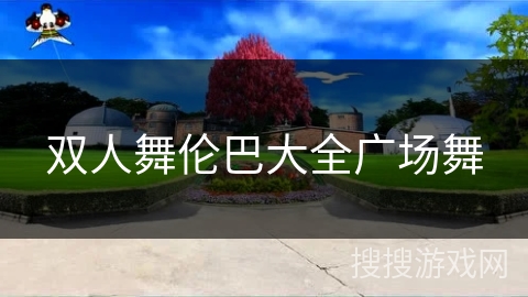 双人舞伦巴大全广场舞