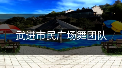 武进市民广场舞团队 武进市民广场舞团队