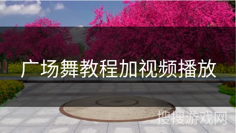 广场舞教程加视频播放