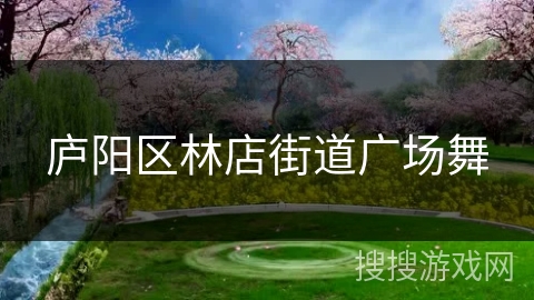 庐阳区林店街道广场舞 庐阳区林店街道广场舞