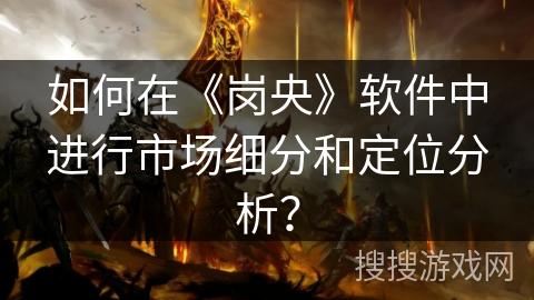 如何在《岗央》软件中进行市场细分和定位分析？