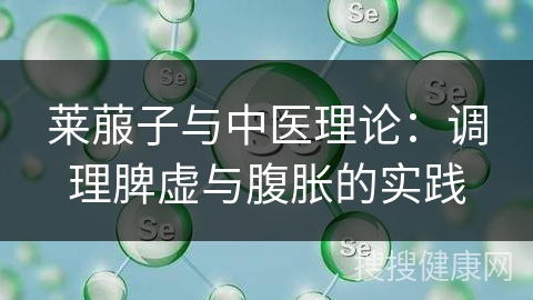 莱菔子与中医理论：调理脾虚与腹胀的实践