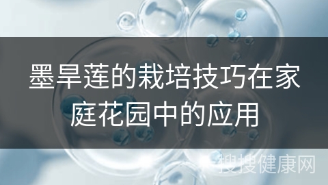 墨旱莲的栽培技巧在家庭花园中的应用