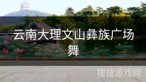 云南大理文山彝族广场舞 云南大理文山彝族广场舞