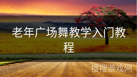 老年广场舞教学入门教程