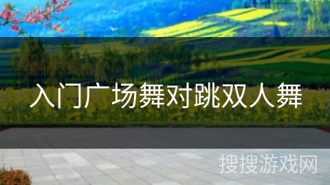 入门广场舞对跳双人舞 入门广场舞对跳双人舞