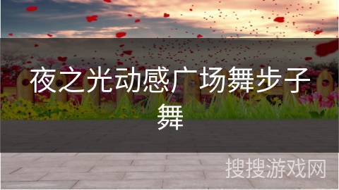 夜之光动感广场舞步子舞