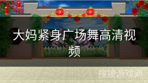 大妈紧身广场舞高清视频