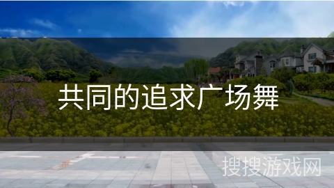 共同的追求广场舞