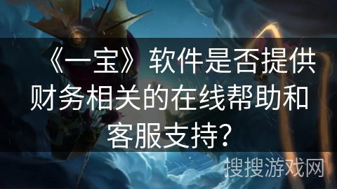 《一宝》软件是否提供财务相关的在线帮助和客服支持？