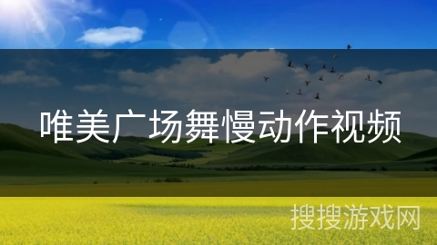 唯美广场舞慢动作视频 唯美广场舞慢动作视频