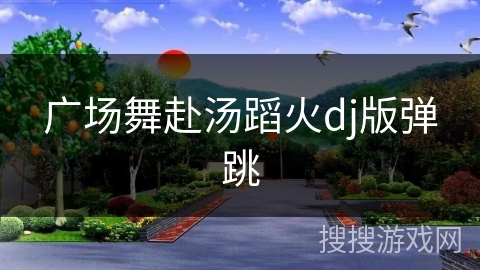 广场舞赴汤蹈火dj版弹跳