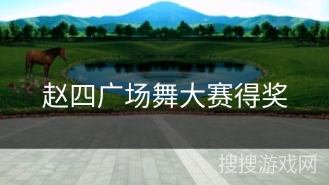 赵四广场舞大赛得奖