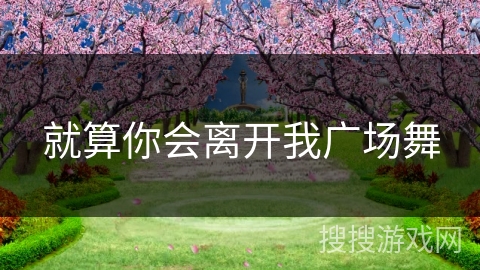 就算你会离开我广场舞