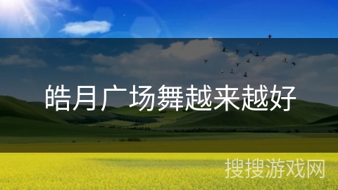 皓月广场舞越来越好