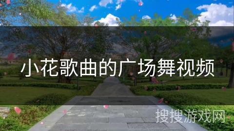 小花歌曲的广场舞视频 小花歌曲的广场舞视频
