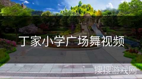 丁家小学广场舞视频 丁家小学广场舞视频