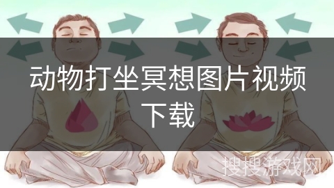 动物打坐冥想图片视频下载